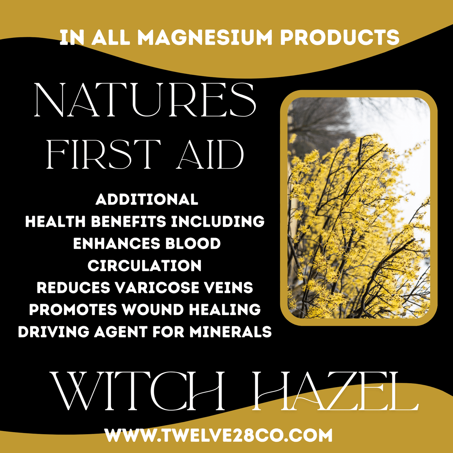 Magnesium Oil SPRAY 2 oz. Best Topical Magnesium | Sleep, Sore Muscles, Anxiety, Arthritis | Topical Magnesium Solution - TWELVE28CO